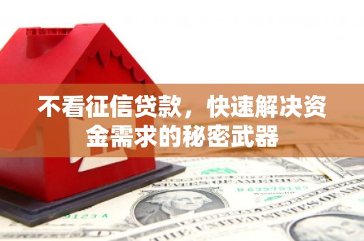 岱岳不看征信贷款，快速解决资金需求的秘密武器