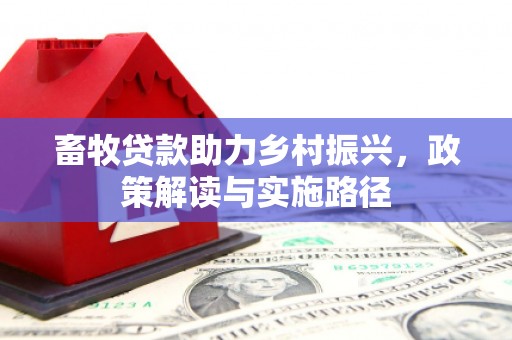 岱岳畜牧贷款助力乡村振兴，政策解读与实施路径