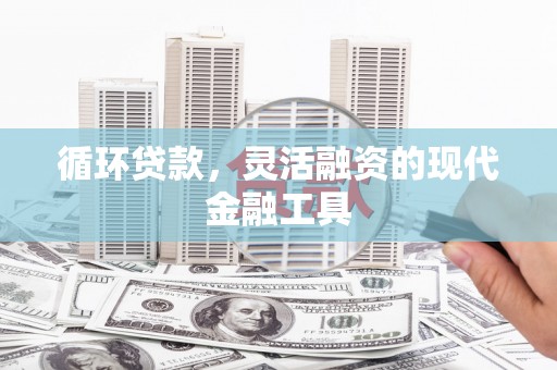 岱岳循环贷款，灵活融资的现代金融工具