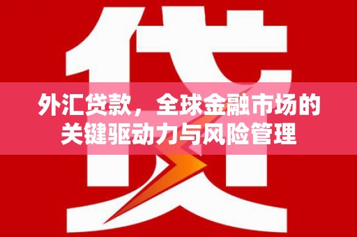 岱岳外汇贷款，全球金融市场的关键驱动力与风险管理