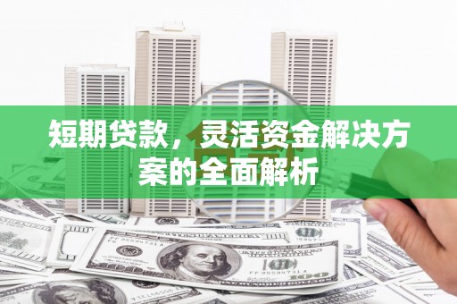 岱岳短期贷款，灵活资金解决方案的全面解析