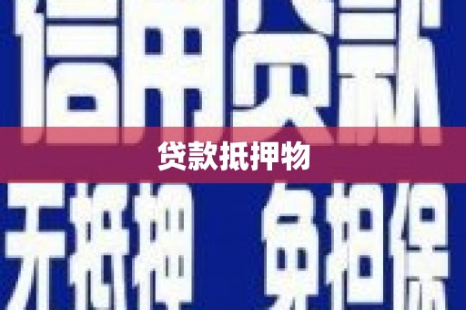 岱岳贷款抵押物