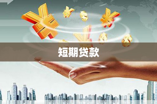 岱岳短期贷款