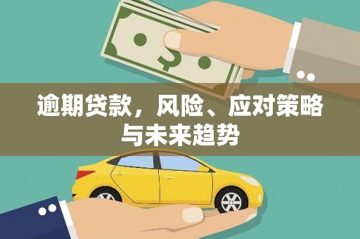 岱岳逾期贷款，风险、应对策略与未来趋势