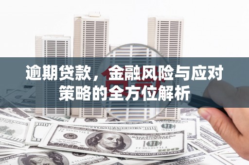 岱岳逾期贷款，金融风险与应对策略的全方位解析