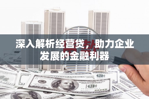 岱岳深入解析经营贷，助力企业发展的金融利器