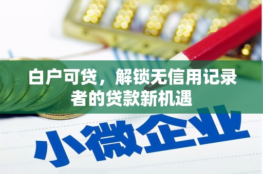 岱岳白户可贷，解锁无信用记录者的贷款新机遇