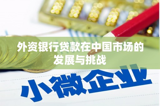 岱岳外资银行贷款在中国市场的发展与挑战