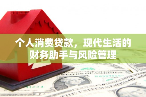 岱岳个人消费贷款，现代生活的财务助手与风险管理