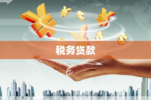 岱岳税务贷款
