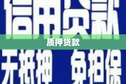 岱岳质押贷款