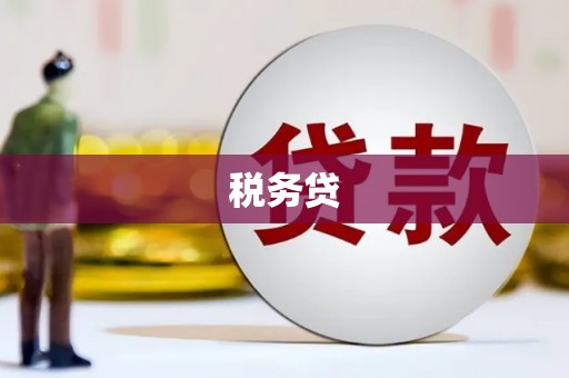 岱岳税务贷