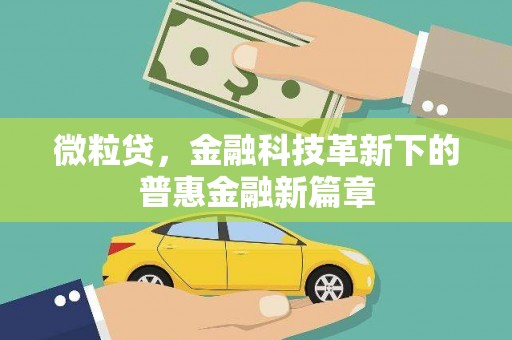 岱岳微粒贷，金融科技革新下的普惠金融新篇章