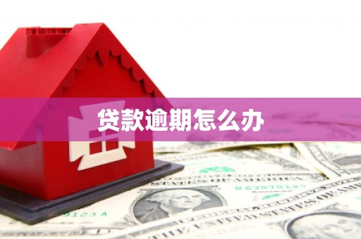 岱岳贷款逾期怎么办