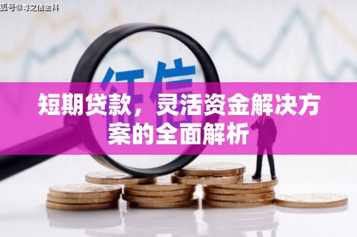 岱岳短期贷款，灵活资金解决方案的全面解析