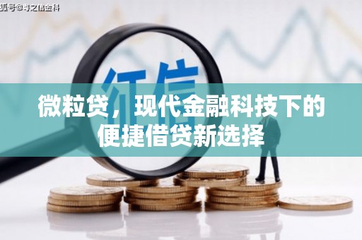 岱岳微粒贷，现代金融科技下的便捷借贷新选择