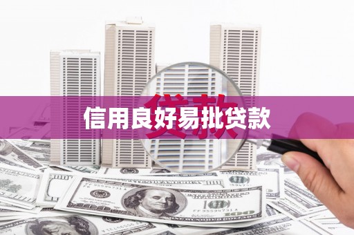 岱岳信用良好易批贷款