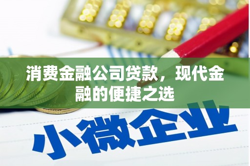 岱岳消费金融公司贷款，现代金融的便捷之选