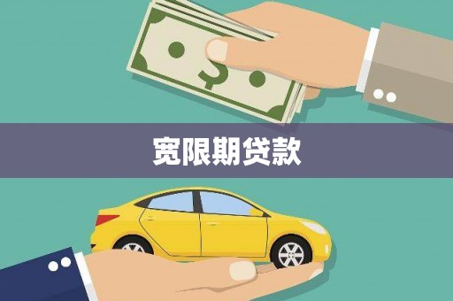 岱岳宽限期贷款