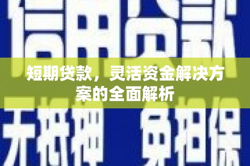 岱岳短期贷款，灵活资金解决方案的全面解析