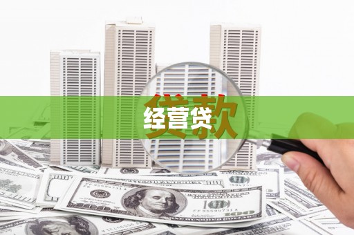 岱岳经营贷
