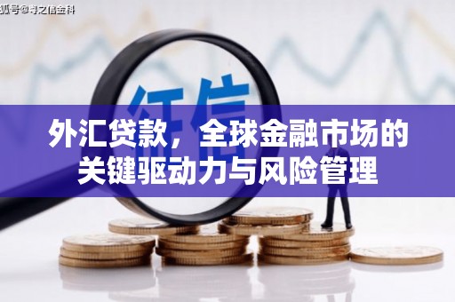 岱岳外汇贷款，全球金融市场的关键驱动力与风险管理