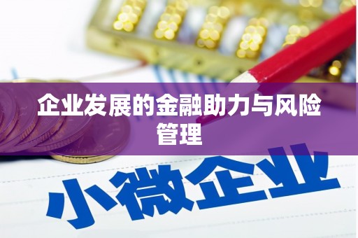 岱岳企业发展的金融助力与风险管理