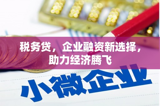 岱岳税务贷，企业融资新选择，助力经济腾飞