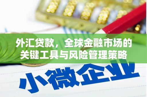 岱岳外汇贷款，全球金融市场的关键工具与风险管理策略