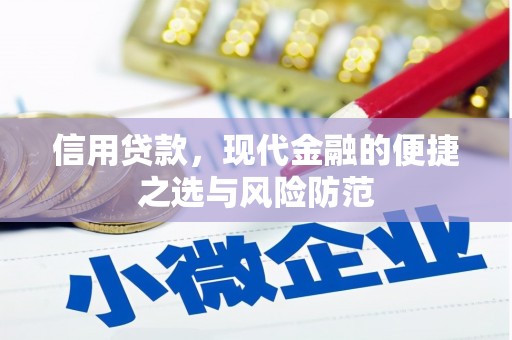岱岳信用贷款，现代金融的便捷之选与风险防范