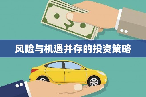 岱岳风险与机遇并存的投资策略