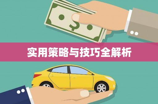 岱岳实用策略与技巧全解析