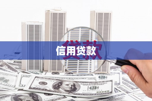 岱岳信用贷款