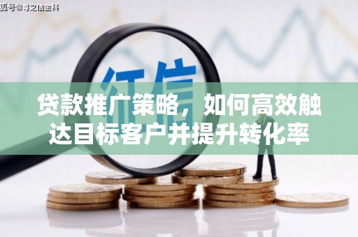 岱岳贷款推广策略，如何高效触达目标客户并提升转化率