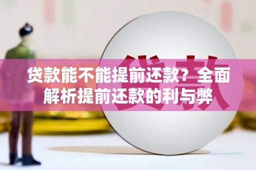 岱岳贷款能不能提前还款？全面解析提前还款的利与弊