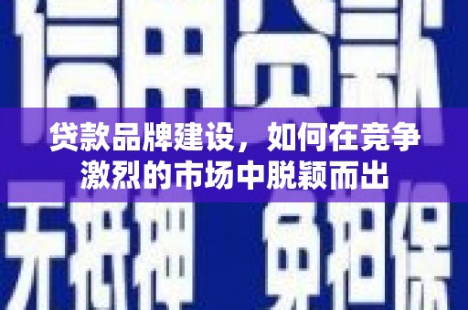 岱岳贷款品牌建设，如何在竞争激烈的市场中脱颖而出