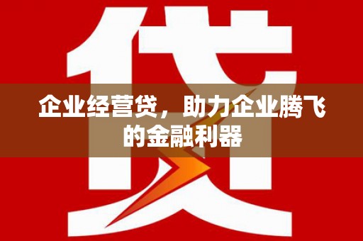 岱岳企业经营贷，助力企业腾飞的金融利器