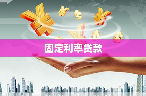 岱岳固定利率贷款