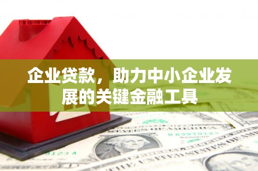岱岳企业贷款，助力中小企业发展的关键金融工具