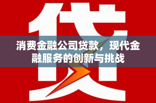 岱岳消费金融公司贷款，现代金融服务的创新与挑战