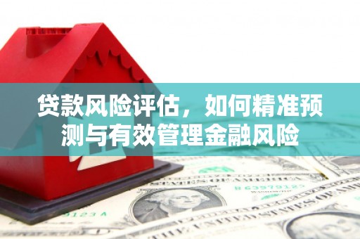 岱岳贷款风险评估，如何精准预测与有效管理金融风险