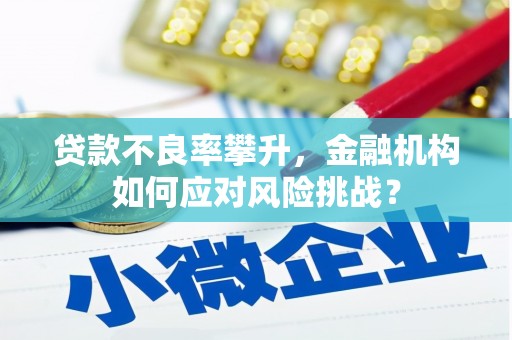 岱岳贷款不良率攀升，金融机构如何应对风险挑战？