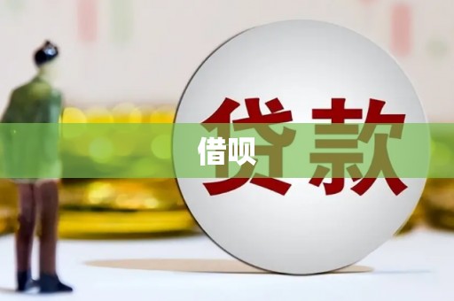 岱岳借呗