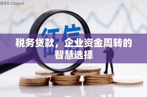 岱岳税务贷款，企业资金周转的智慧选择