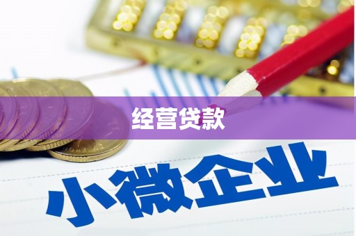 岱岳经营贷款