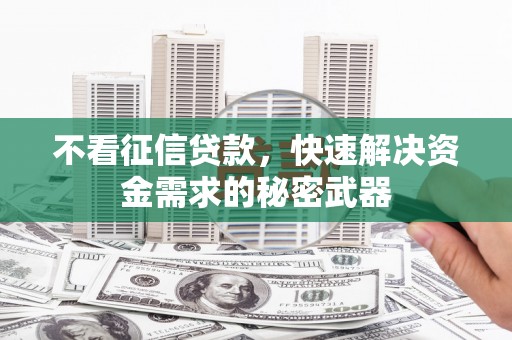 岱岳不看征信贷款，快速解决资金需求的秘密武器