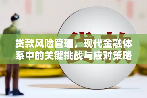 岱岳贷款风险管理，现代金融体系中的关键挑战与应对策略