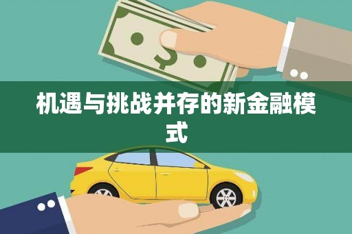 岱岳机遇与挑战并存的新金融模式