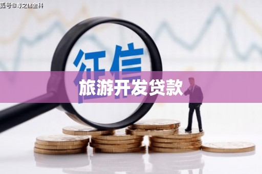 岱岳旅游开发贷款