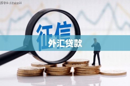 岱岳外汇贷款